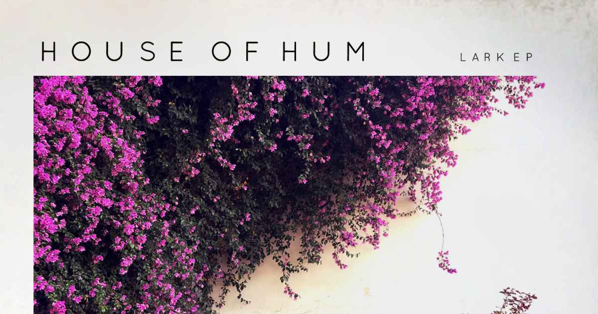 Lark, an album by House of Hum | Musicbed