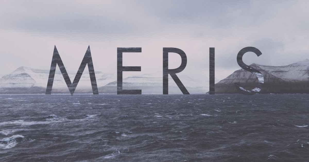 Meris, an album by Jordan Critz | Musicbed