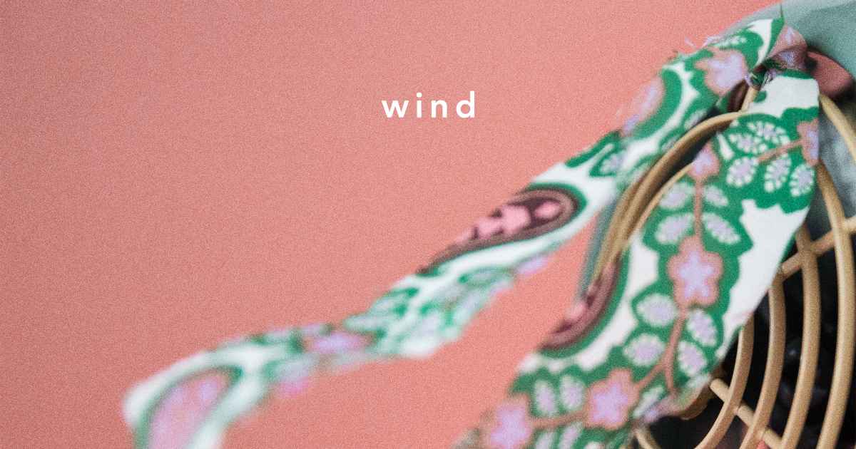wind, an album by LeyeT | Musicbed