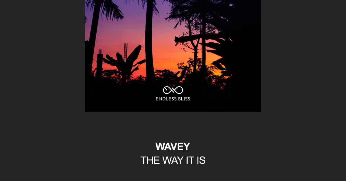 The Way It is, an album by Wavey | Musicbed