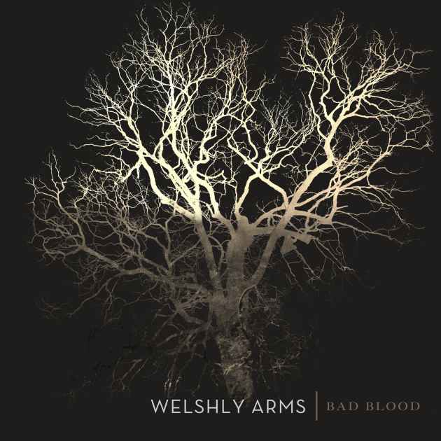 Bad Blood By Welshly Arms Song License