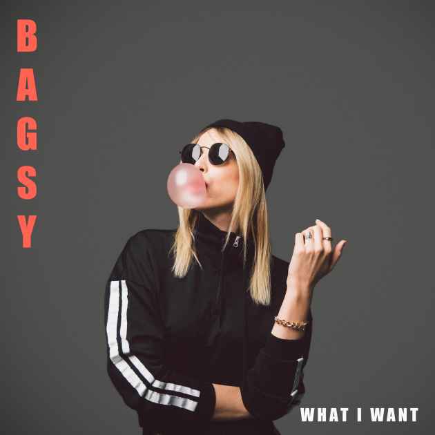 Push It By Bagsy Song License