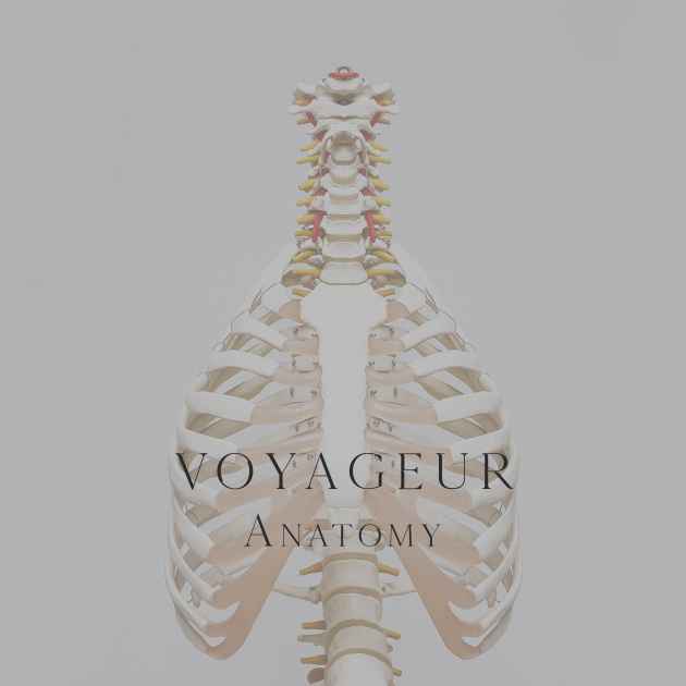I Will Fight For You By Voyageur Song License