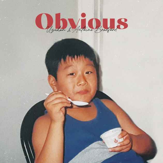 Obvious by Uzuhan | Song License