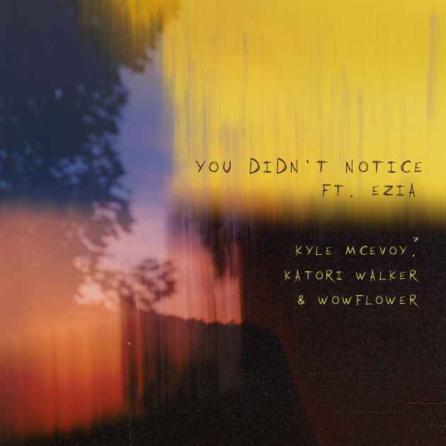 You Didn't Notice (with Katori Walker & Wowflower) by Kyle McEvoy ...