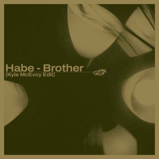 Brother (Kyle McEvoy Edit) by Habe | Song License