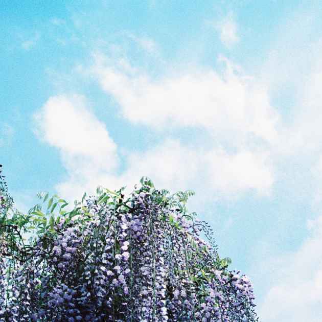 I'll Still Call (with Jon Notar & Cleveland Scoring) [Orchestral Rework