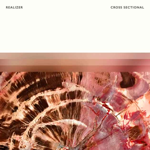 Insight by Realizer | Song License