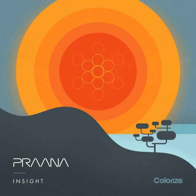 Insight by PRAANA | Song License
