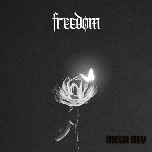 Freedom by Mega Rev | Song License
