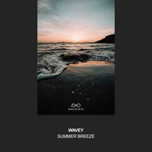 Summer Breeze by Wavey | Song License
