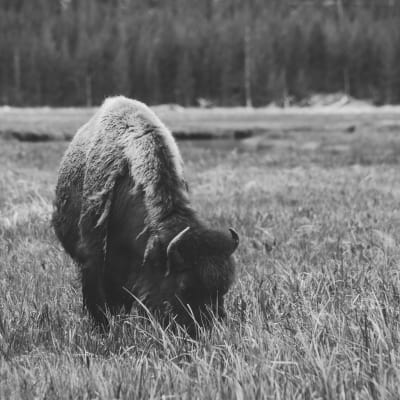 Move Up An Album By The Tvc Musicbed musicbed