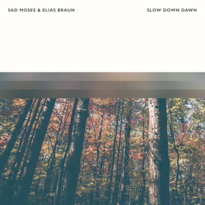 Slow Down Dawn, an album by Sad Moses | Musicbed