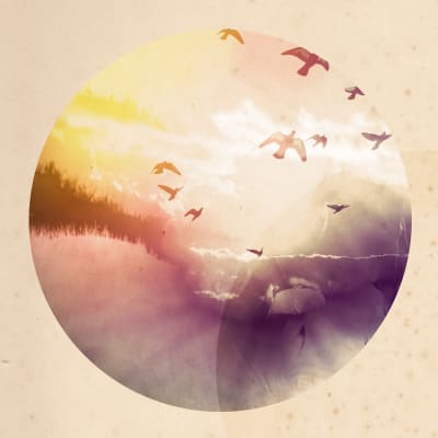 洋楽 Unfinished Business / Redwood Landing Reclaimed Redwood End Trimmed Planks - $3/SQ FT - 10 SQ FT