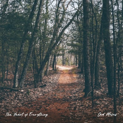 The Heart Of Everything, an album by Sad Moses | Musicbed