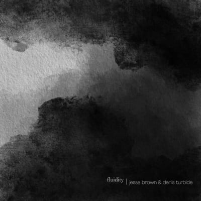 fluidity, an album by Jesse Brown | Musicbed