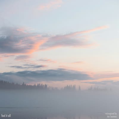 feel it all (reimagined), an album by sød ven | Musicbed