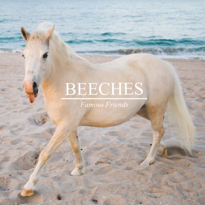 Beeches | Music Licensing | Musicbed