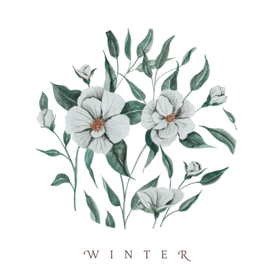 Winter Snow By Audrey Assad Song License