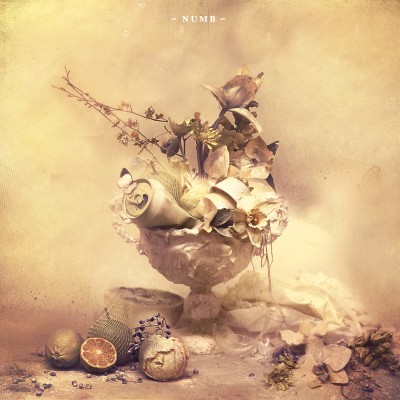 Numb Instrumental By Krane Song License
