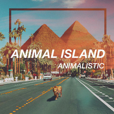 Gimme That Sunshine By Animal Island Song License Gimme that was… read more. gimme that sunshine by animal island
