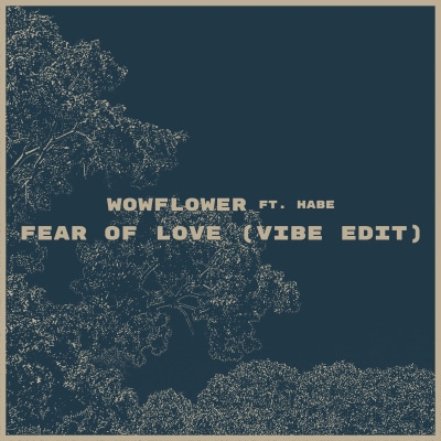 Fear Of Love (Vibe Edit) [with wowflower] by Habe | Song License