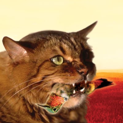 Meow mix cat song sales