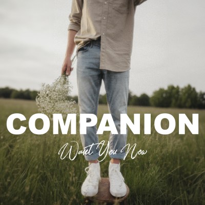 Can't Imagine Life Without You by Companion | Song License