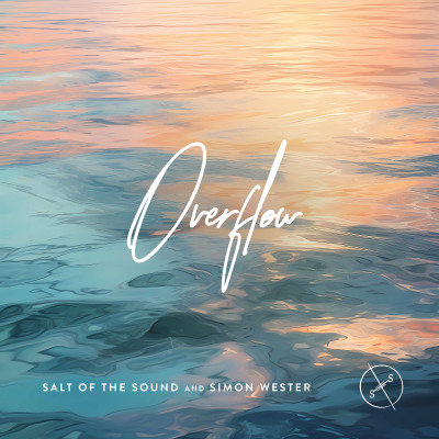 Overflow (feat. Salt of the Sound) - Instrumental by Simon Wester ...